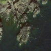 Thumbnail of post image 103