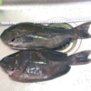 Thumbnail of post image 067