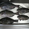 Thumbnail of post image 002