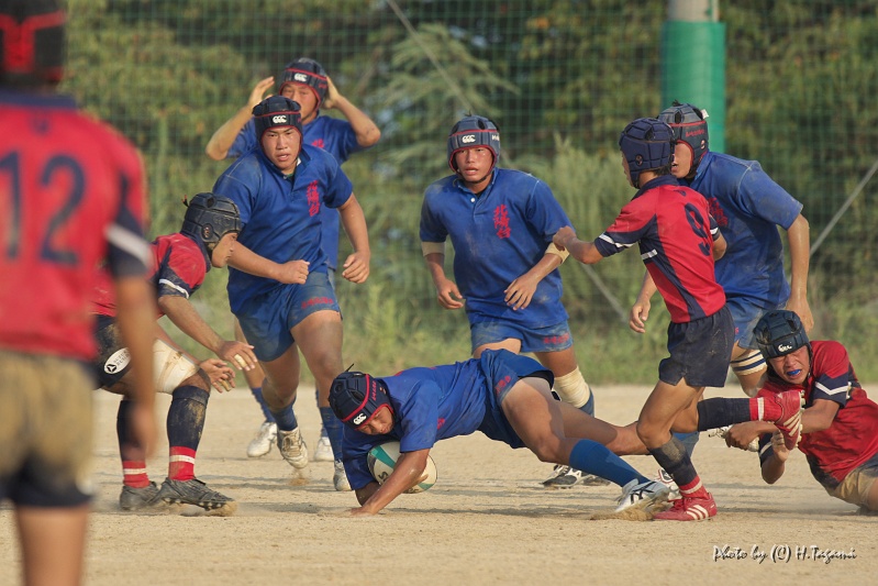 DSC01621.jpg
