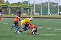 DSC091011-014