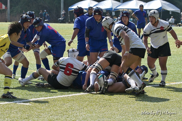 DSC07984.jpg