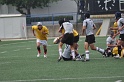 DSCN100502-517