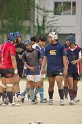 DSC04951