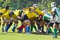 DSC110813-245