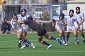 DSC00533