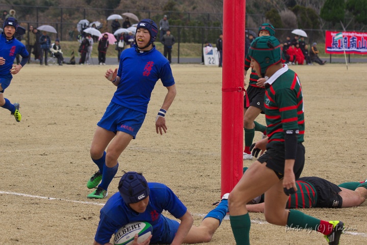DSC01398.jpg