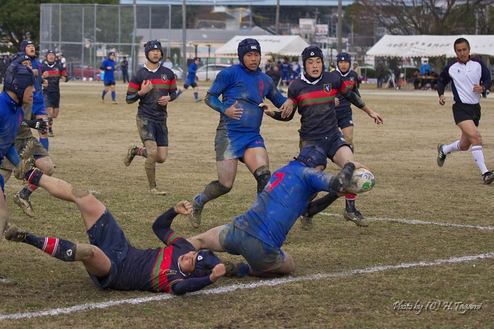 DSC01017.jpg