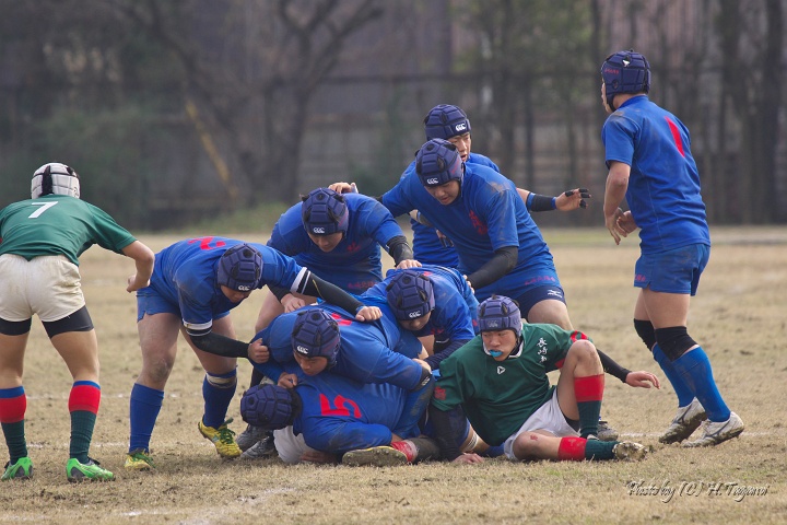 DSC01138.jpg