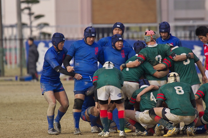DSC01193.jpg
