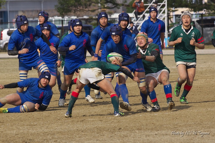 DSC01268.jpg