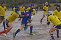 DSC00302