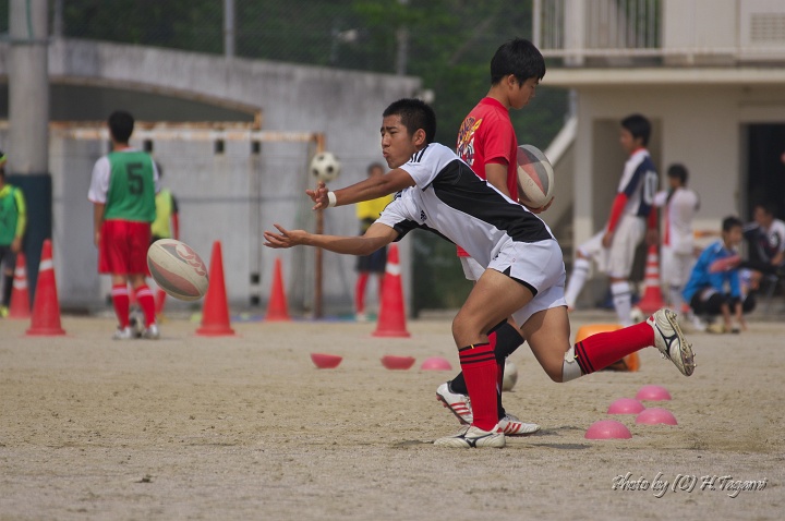 DSC0010.jpg