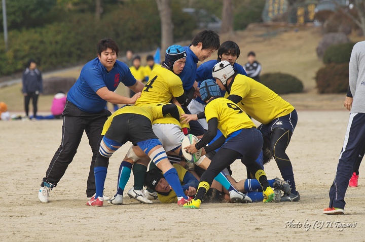 DSC02642.jpg