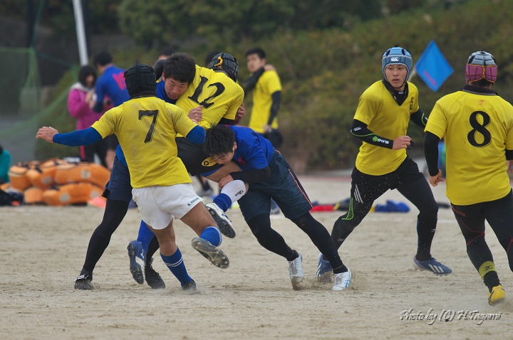 DSC02782.jpg