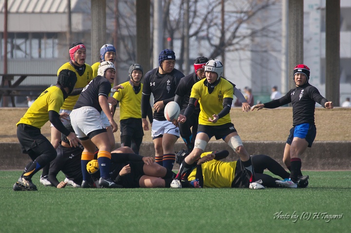 DSC01379.jpg