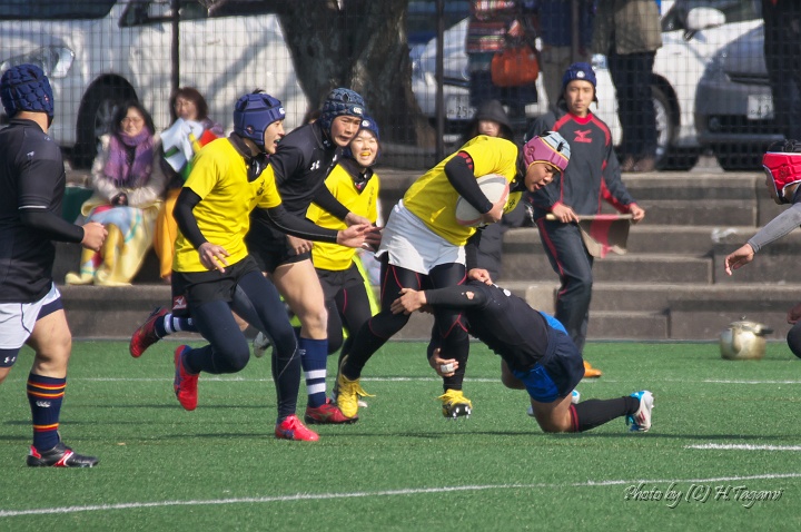DSC01493.jpg
