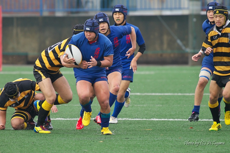 DSC03294.jpg