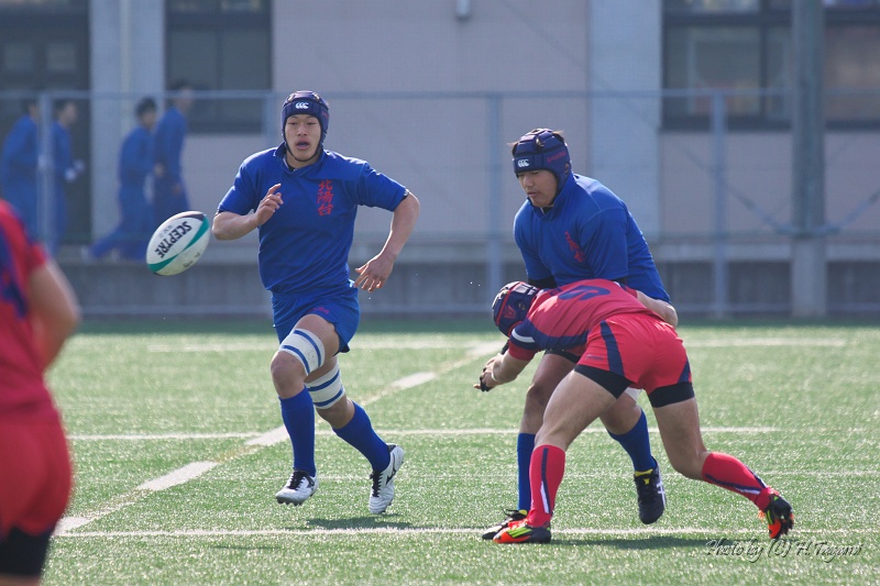 DSC01347.jpg