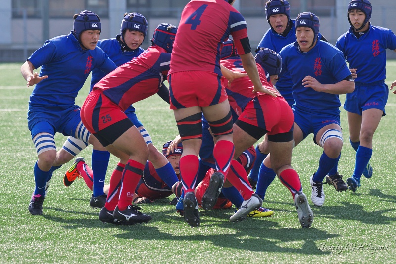 DSC01376.jpg