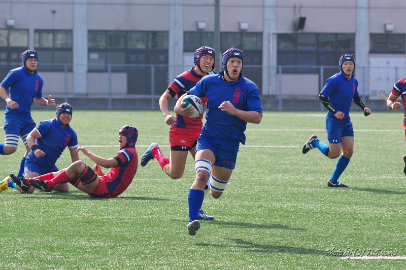 DSC01437.jpg