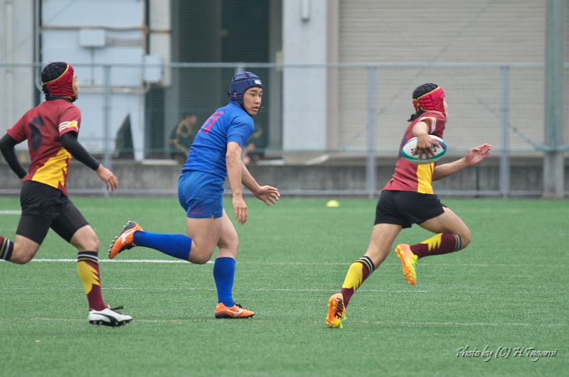 DSC04398.jpg