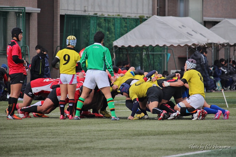 IMG_4565.jpg