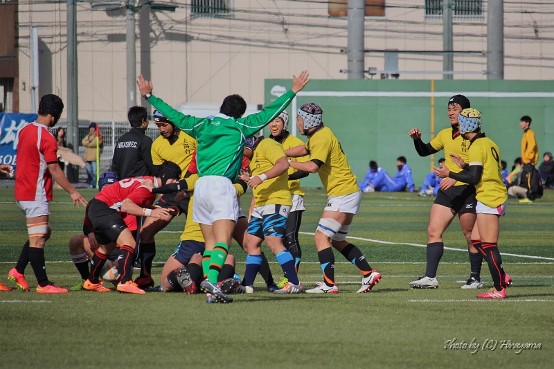 IMG_4587.jpg