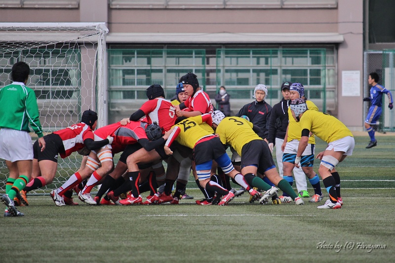 IMG_4595.jpg