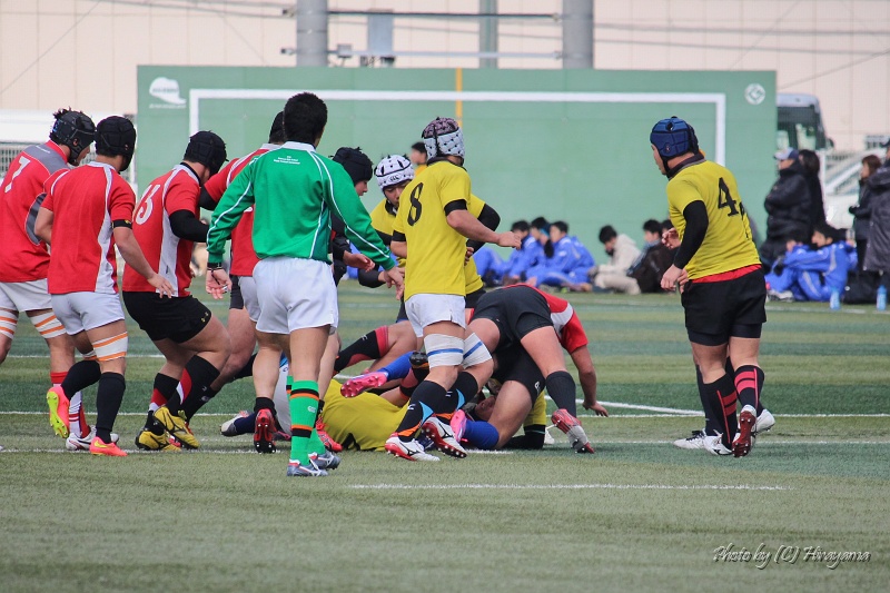 IMG_4597.jpg