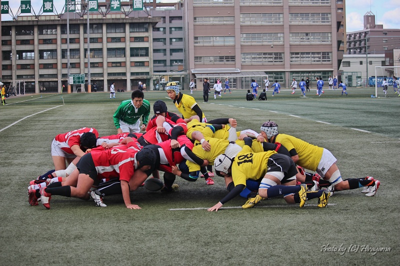 IMG_4617.jpg