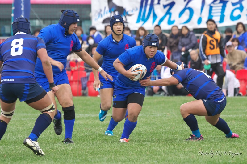 DSC00560.jpg