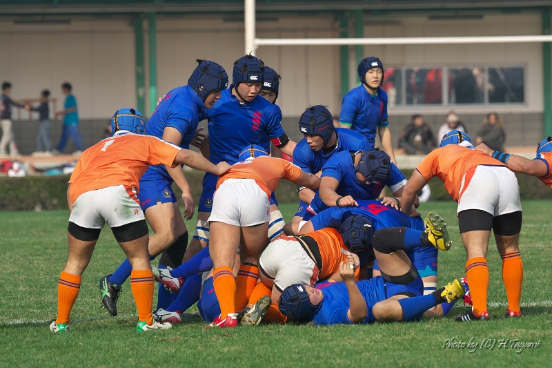 DSC01742.jpg