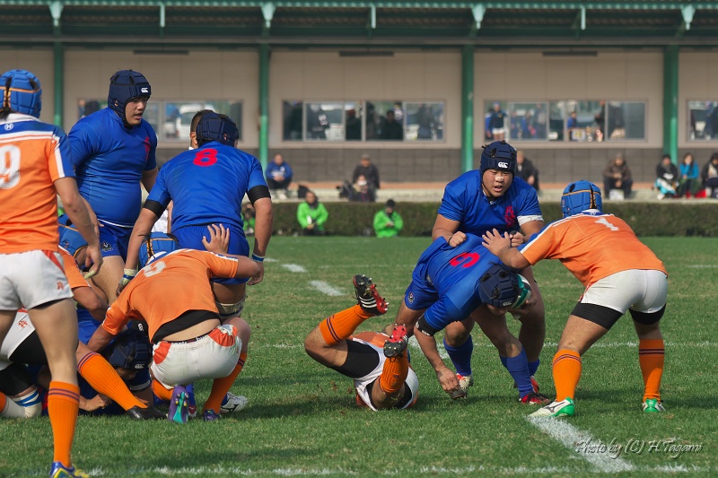DSC01818.jpg