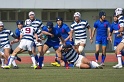 DSC00952