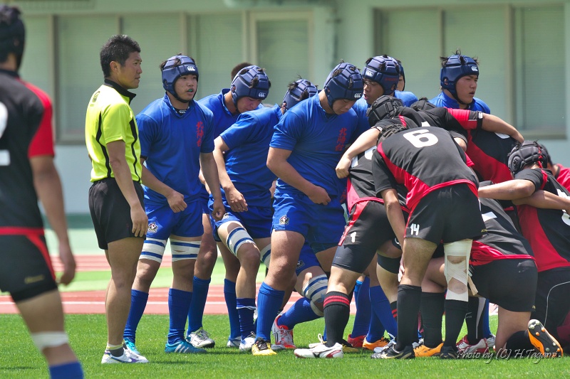 DSC03065.jpg