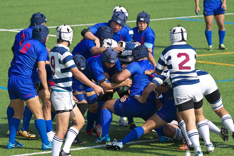 DSC09560.jpg