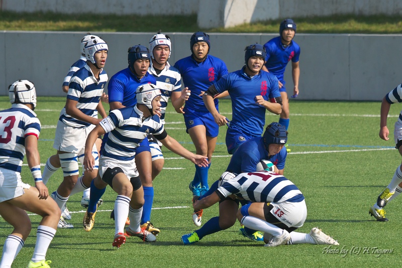DSC09574.jpg