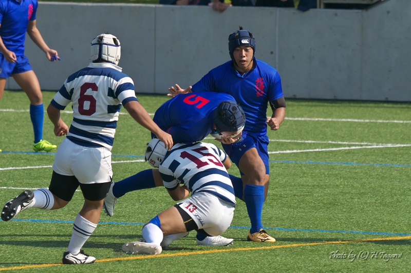 DSC09597.jpg