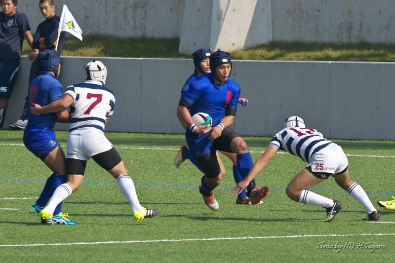 DSC09634.jpg