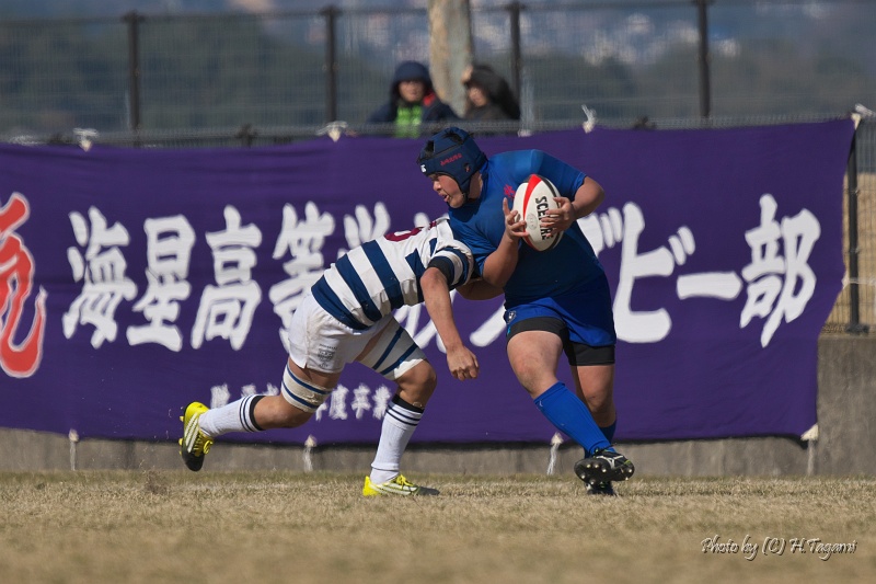 DSC02539.jpg