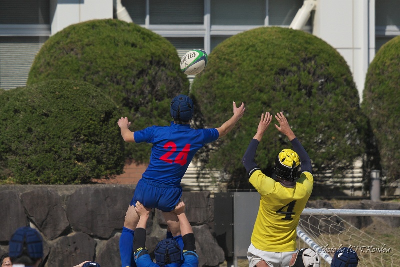 DSC03941.jpg
