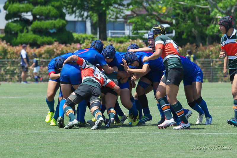 DSC_2250.jpg