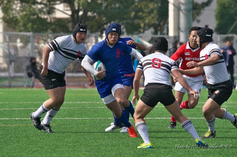 DSC02652.jpg