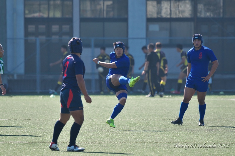 DSC07004.jpg