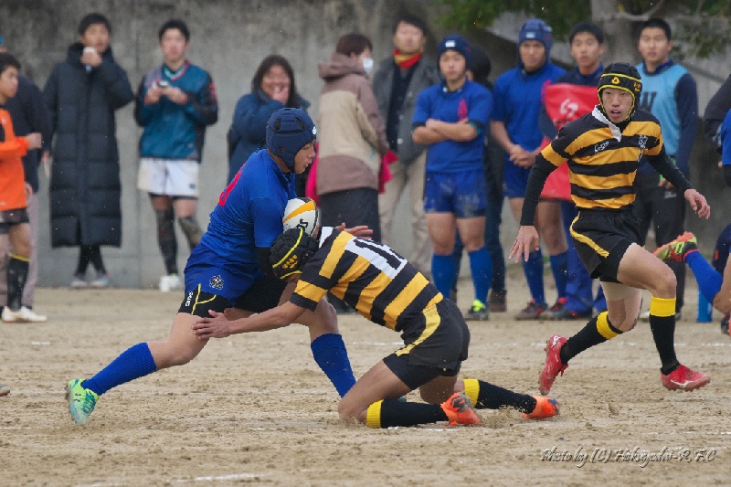 DSC08341.jpg