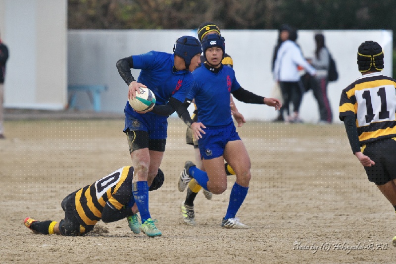 DSC08377.jpg