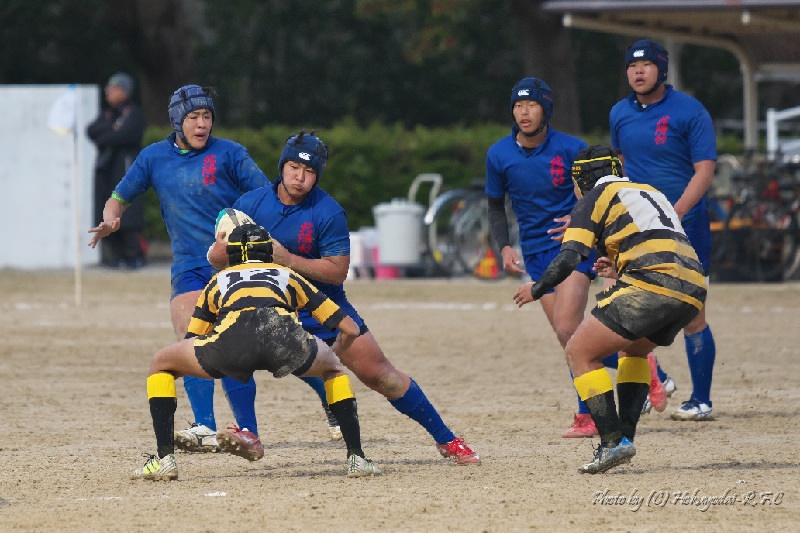 DSC08383.jpg