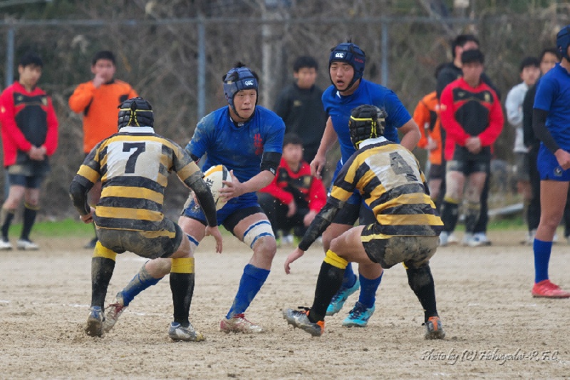 DSC08433.jpg