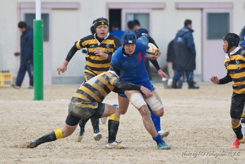DSC08435.jpg